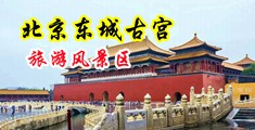 美女被操黄片大全中国北京-东城古宫旅游风景区